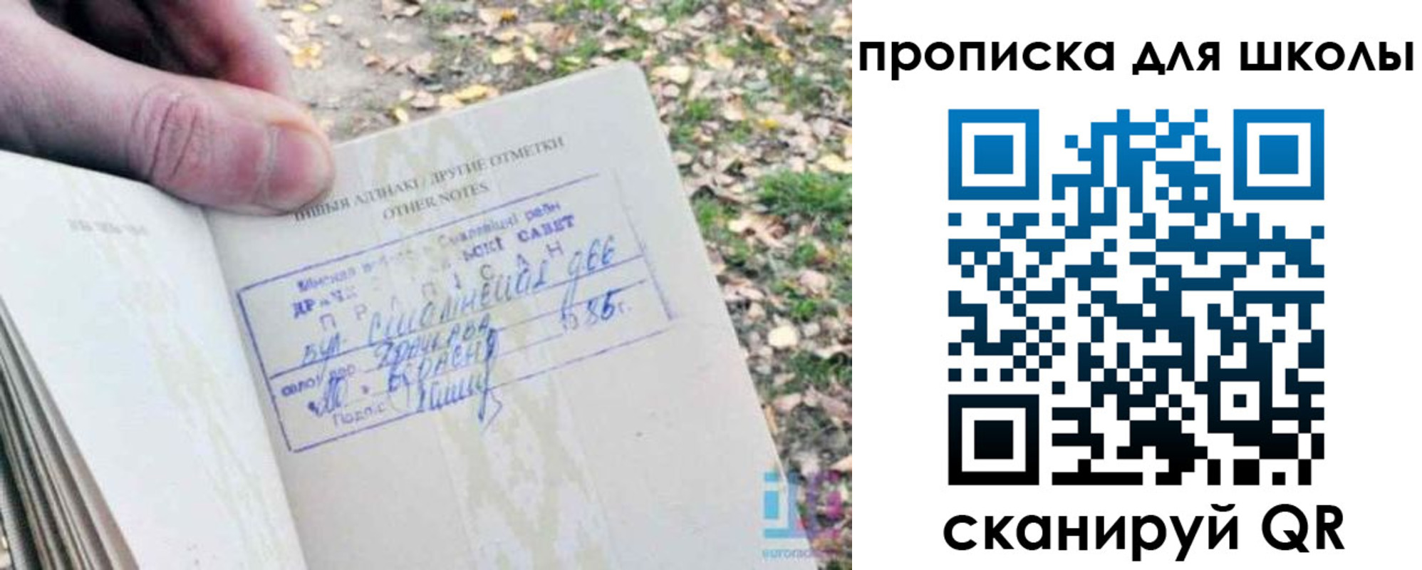 временная регистрация надежно в Боровичах